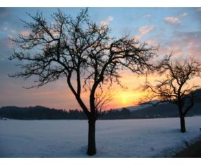Sončni zahod  Sonnenuntergang  Sunset